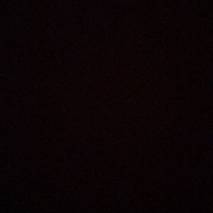 Meet your Posher, Arianna